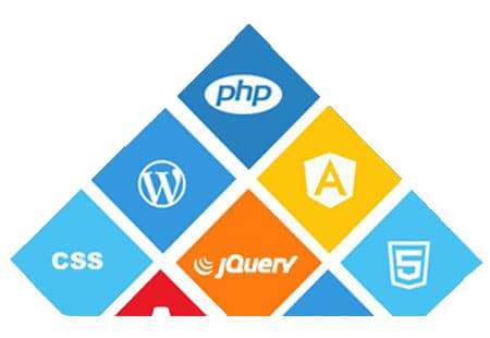 Web Design & Development